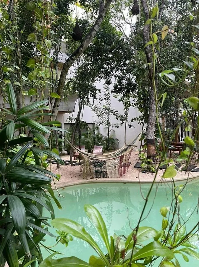 Great Apartment In Tulum Ab5