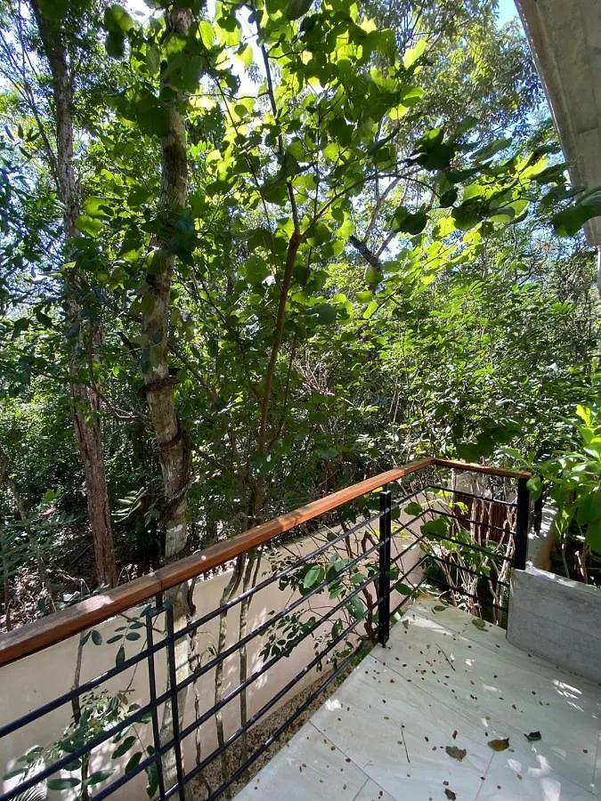 Great Apartment In Tulum Ab5